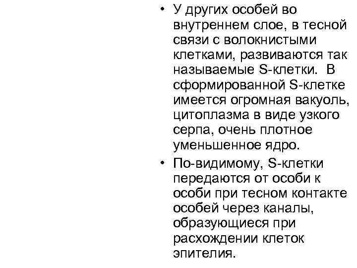  • У других особей во  внутреннем слое, в тесной  связи с