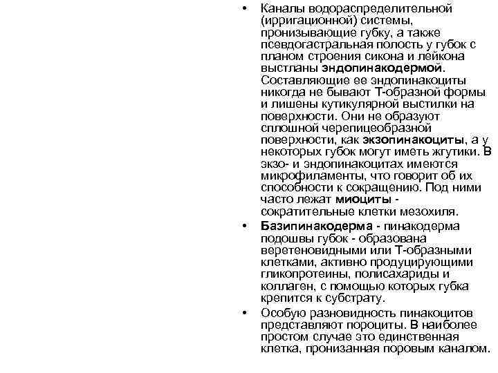  •  Каналы водораспределительной (ирригационной) системы, пронизывающие губку, а также псевдогастральная полость у