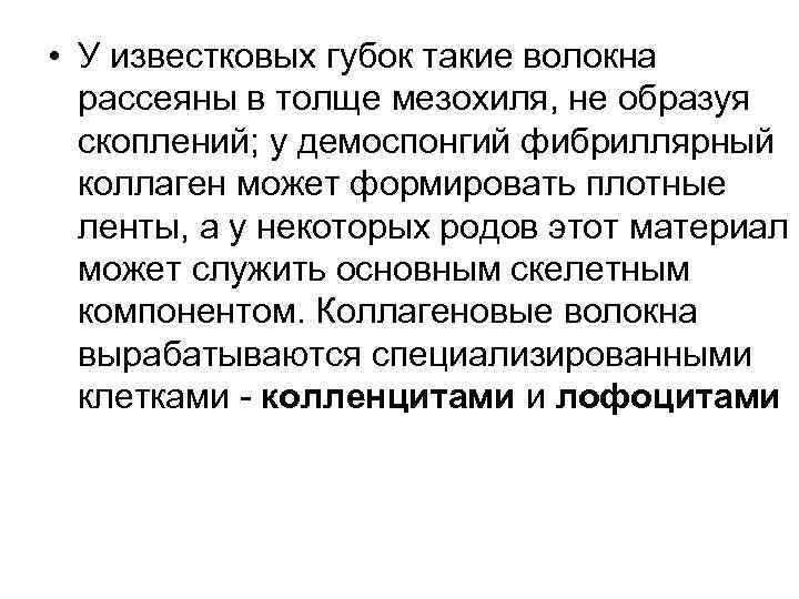  • У известковых губок такие волокна  рассеяны в толще мезохиля, не образуя