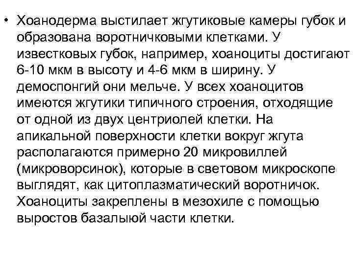  • Хоанодерма выстилает жгутиковые камеры губок и  образована воротничковыми клетками. У 