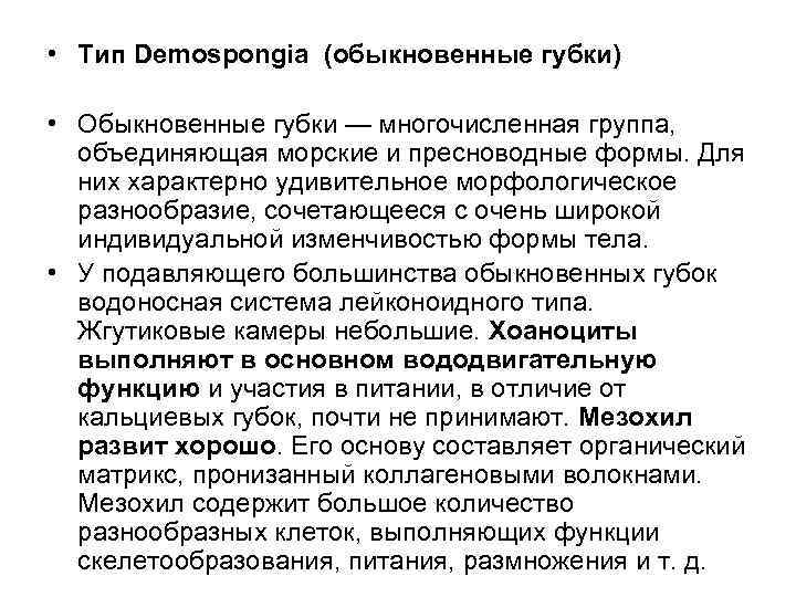  • Тип Demospongia (обыкновенные губки)  • Обыкновенные губки — многочисленная группа, 