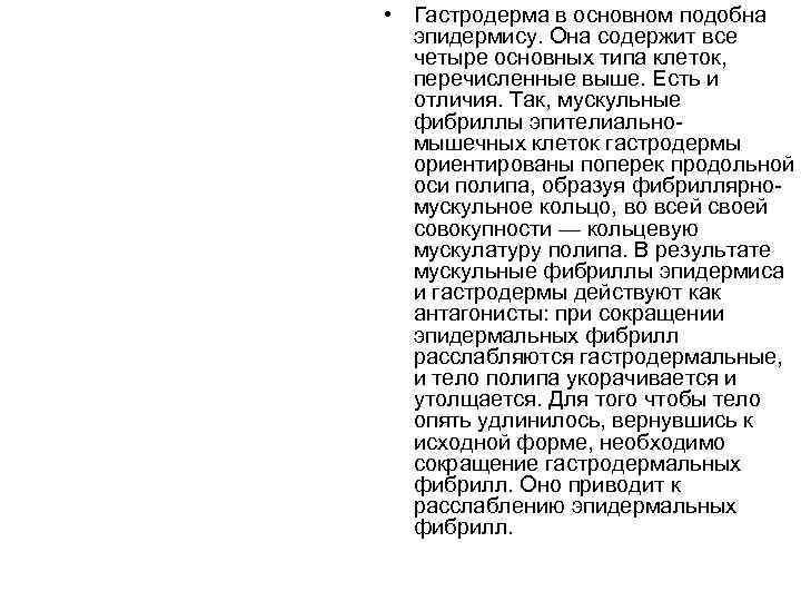  • Гастродерма в основном подобна  эпидермису. Она содержит все  четыре основных