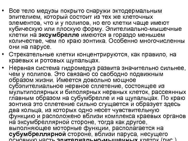  • Все тело медузы покрыто снаружи эктодермальным  эпителием, который состоит из тех