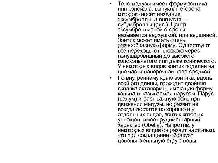 •  Тело медузы имеет форму зонтика или колокола, выпуклая сторона которого носит