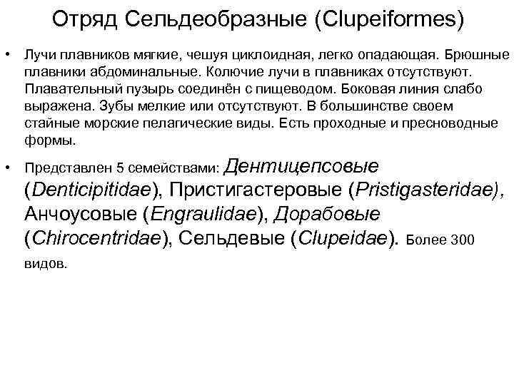  Отряд Сельдеобразные (Clupeiformes) • Лучи плавников мягкие, чешуя циклоидная, легко опадающая. Брюшные 