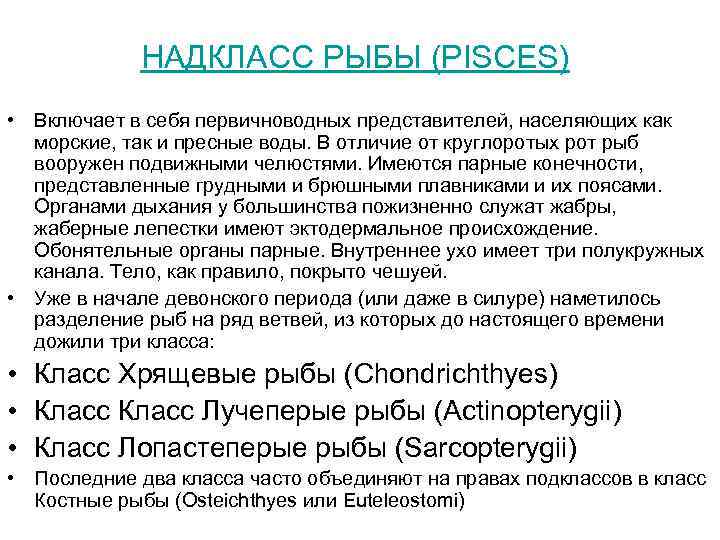    НАДКЛАСС РЫБЫ (PISCES) • Включает в себя первичноводных представителей, населяющих как