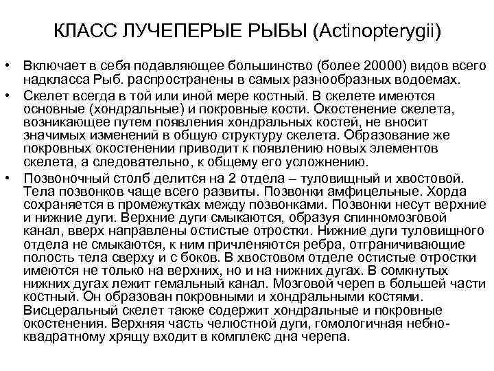  КЛАСС ЛУЧЕПЕРЫЕ РЫБЫ (Actinopterygii) • Включает в себя подавляющее большинство (более 20000) видов