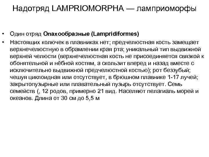  Надотряд LAMPRIOMORPHA — ламприоморфы  • Один отряд Опахообразные (Lampridiformes) • Настоящих