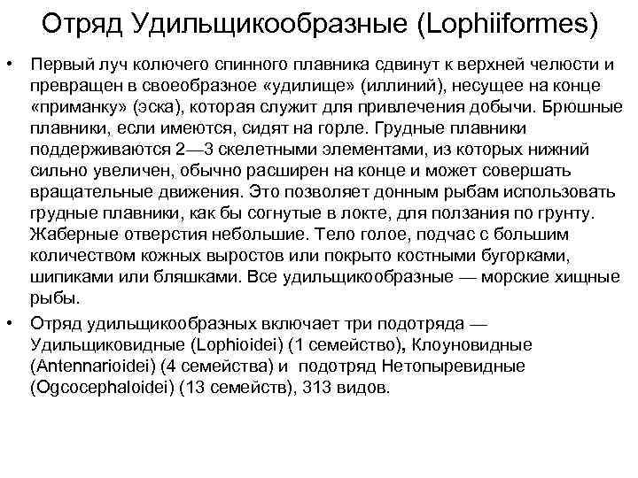   Отряд Удильщикообразные (Lophiiformes) • Первый луч колючего спинного плавника сдвинут к верхней