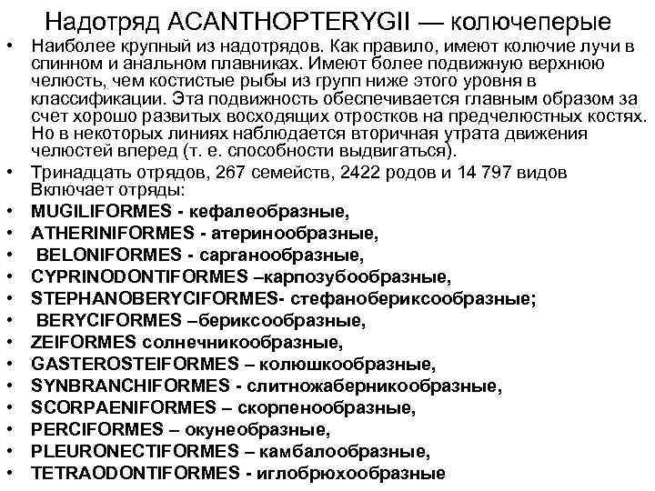   Надотряд ACANTHOPTERYGII — колючеперые • Наиболее крупный из надотрядов. Как правило, имеют