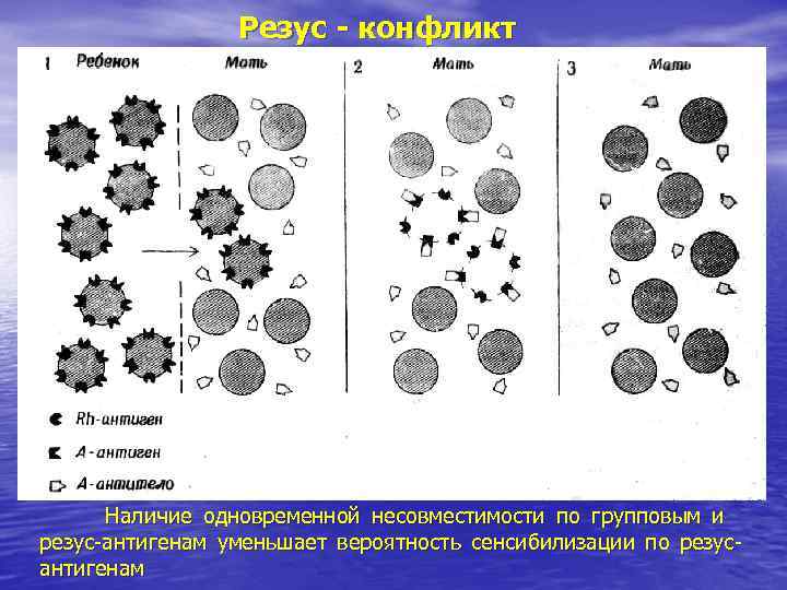 Резус - конфликт Наличие одновременной несовместимости по групповым и резус-антигенам Резус - конфликт Наличие одновременной несовместимости по групповым и резус-антигенам