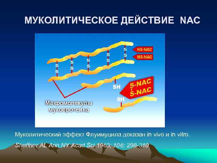   МУКОЛИТИЧЕСКОЕ ДЕЙСТВИЕ NAC Муколитический эффект Флуимуцила доказан in vivo и in vitro.
