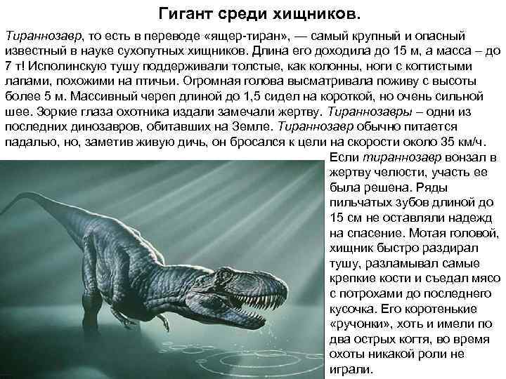     Гигант среди хищников. Тираннозавр, то есть в переводе «ящер-тиран» ,