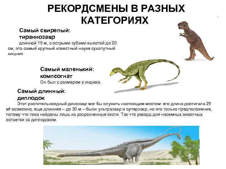    РЕКОРДСМЕНЫ В РАЗНЫХ    КАТЕГОРИЯХ Самый свирепый:  тираннозавр