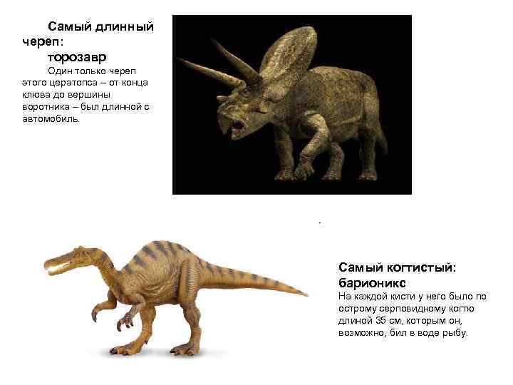   Самый длинный череп: торозавр Один только череп этого цератопса – от конца