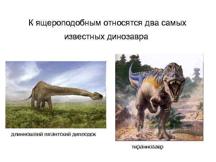  К ящероподобным относятся два самых    известных динозавра длинношеий гигантский диплодок