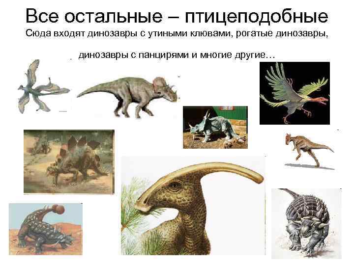 Все остальные – птицеподобные Сюда входят динозавры с утиными клювами, рогатые динозавры,  
