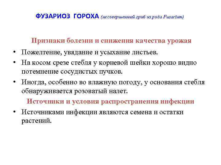  ФУЗАРИОЗ ГОРОХА (несовершенный гриб из рода Fusarium)  Признаки болезни и снижения качества