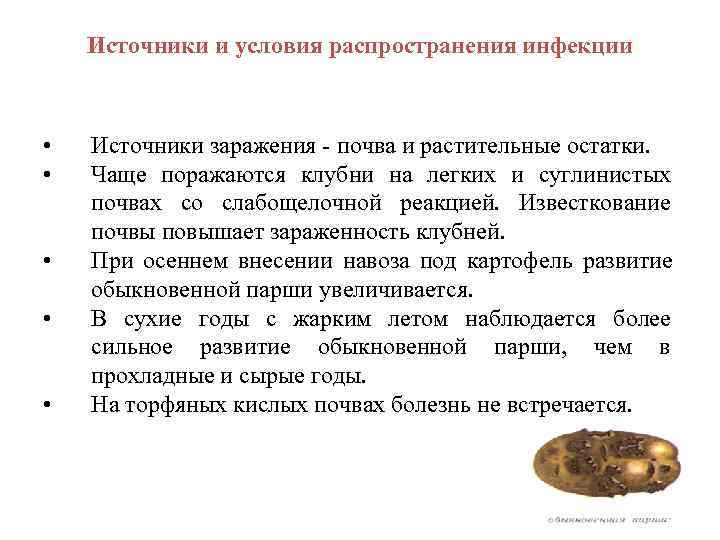   Источники и условия распространения инфекции •  Источники заражения  почва и