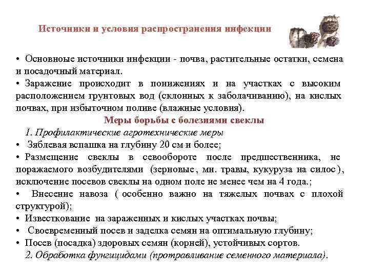   Источники и условия распространения инфекции  • Основноые источники инфекции  почва,