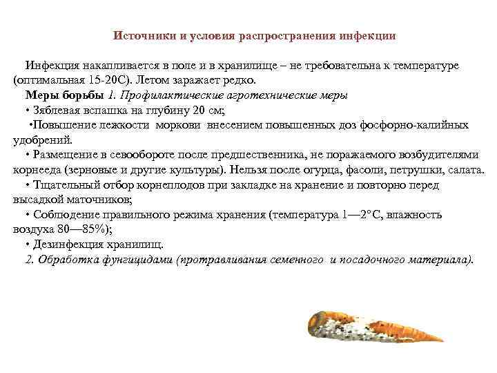    Источники и условия распространения инфекции  Инфекция накапливается в поле и