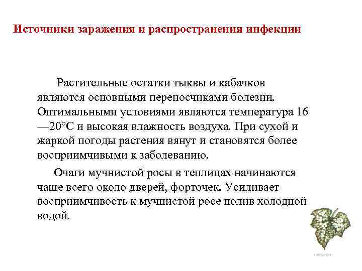 Источники заражения и распространения инфекции   Растительные остатки тыквы и кабачков  являются