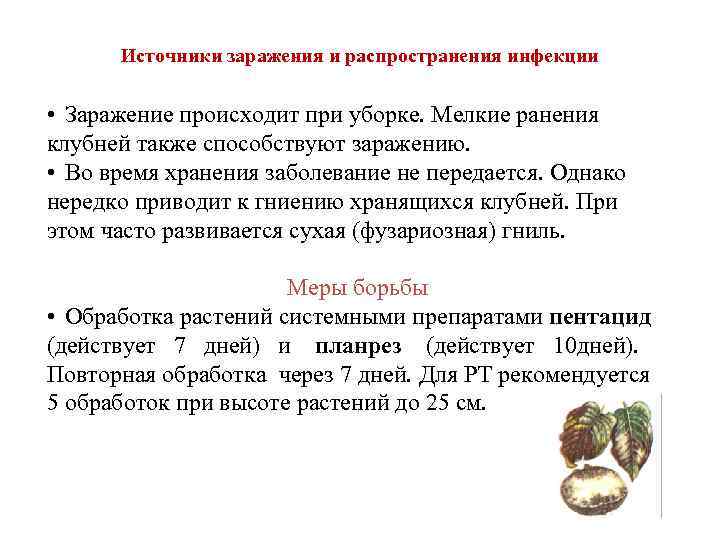  Источники заражения и распространения инфекции  • Заражение происходит при уборке. Мелкие ранения