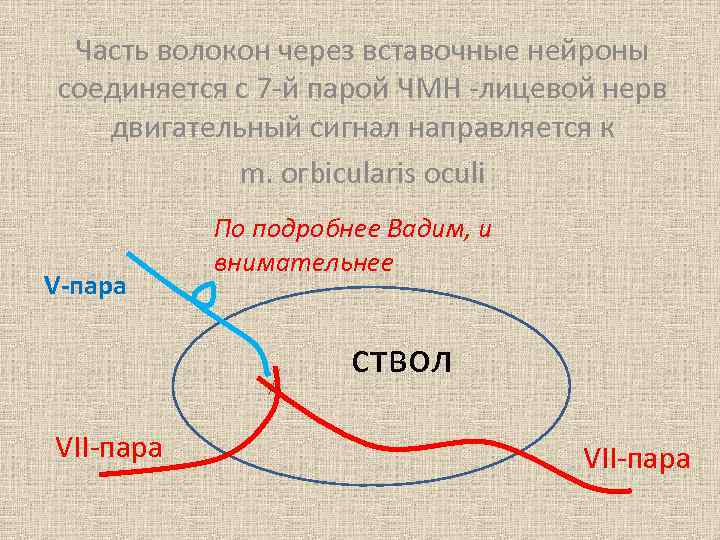 Надбровный рефлекс схема