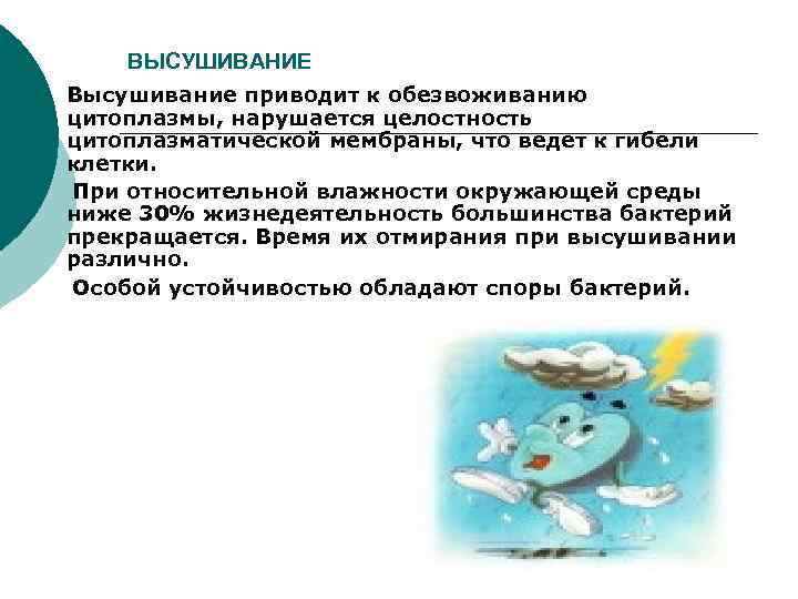  ВЫСУШИВАНИЕ ¡  Высушивание приводит к обезвоживанию цитоплазмы, нарушается целостность цитоплазматической мембраны, что