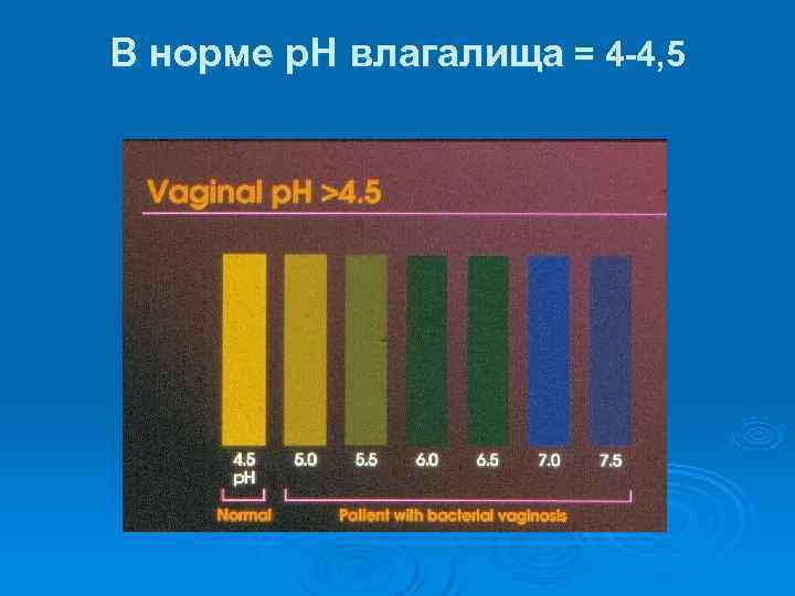 В норме p. H влагалища = 4 -4, 5 В норме p. H влагалища = 4 -4, 5