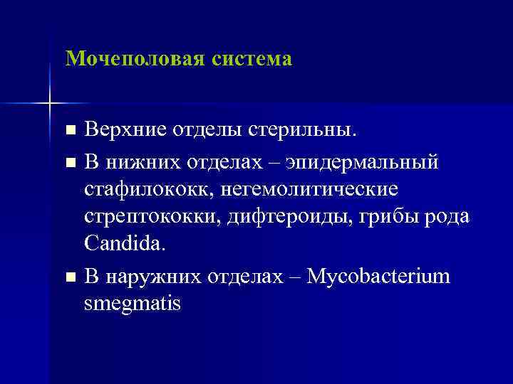Мочеполовая система  n Верхние отделы стерильны. n В нижних отделах – эпидермальный 