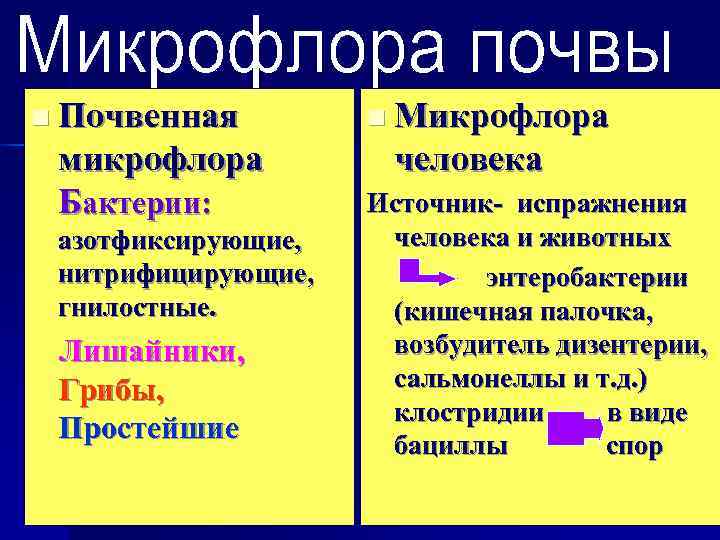 n Почвенная   n Микрофлора микрофлора   человека Бактерии:  Источник- испражнения