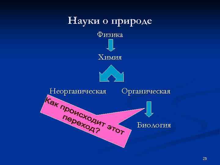   Науки о природе  Физика   Химия  Неорганическая  Органическая