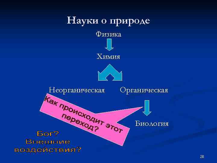   Науки о природе  Физика   Химия  Неорганическая  Органическая
