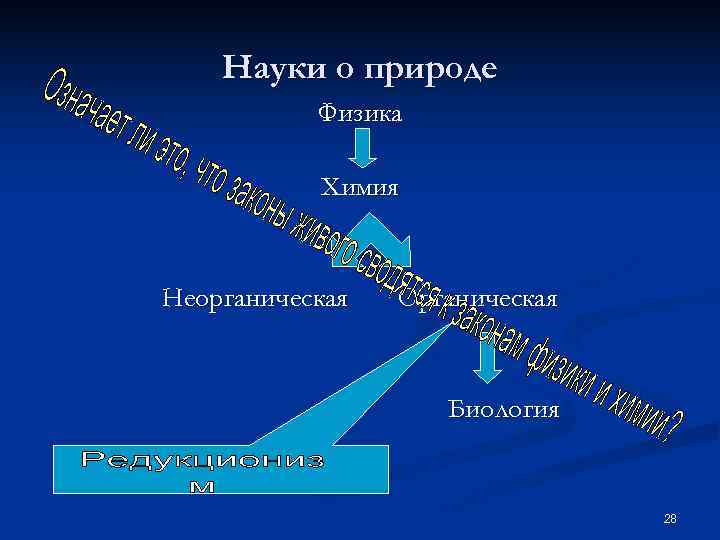   Науки о природе  Физика   Химия  Неорганическая  Органическая