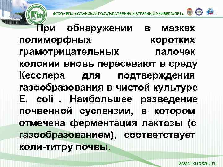   При обнаружении в мазках полиморфных    коротких грамотрицательных  