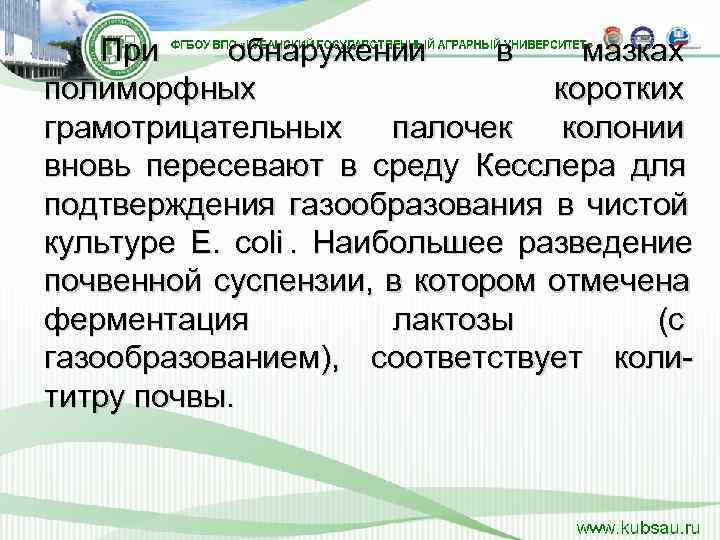   При обнаружении  в мазках полиморфных     коротких грамотрицательных