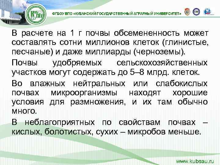 В расчете на 1 г почвы обсемененность может составлять сотни миллионов клеток (глинистые, 