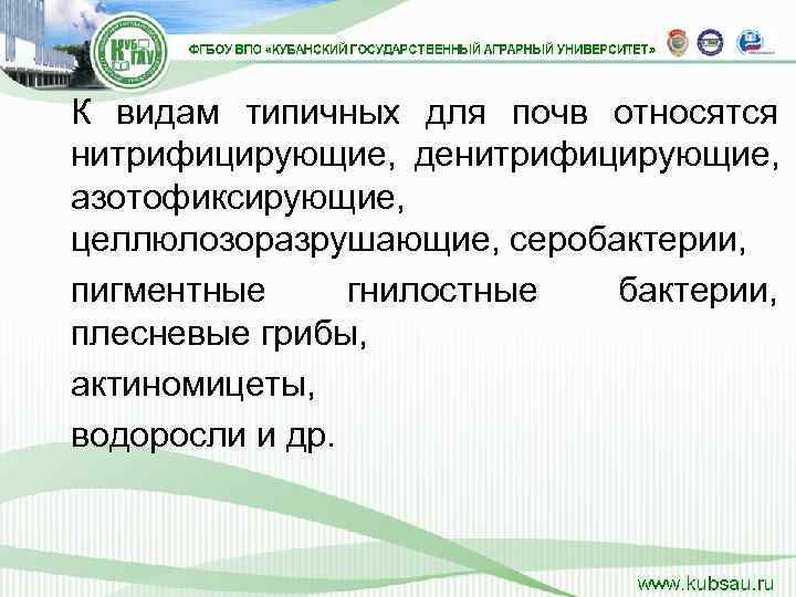 К видам типичных для почв относятся нитрифицирующие,  денитрифицирующие,  азотофиксирующие,  целлюлозоразрушающие, серобактерии,