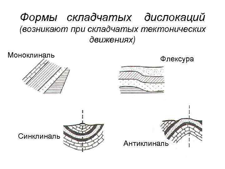  Формы складчатых   дислокаций  (возникают при складчатых тектонических   движениях)