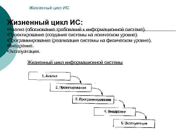 Цикл информационной системы