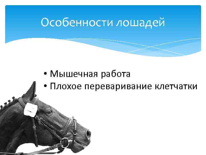 Особенности лошадей • Мышечная работа • Плохое переваривание клетчатки 