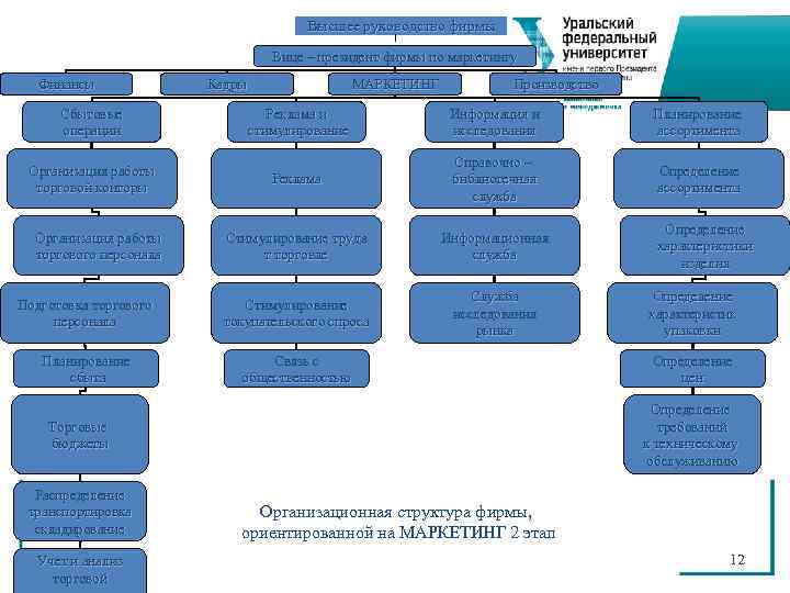     Высшее руководство фирмы      Вице –