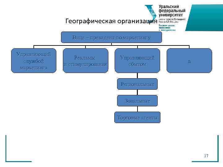    Географическая организация    Вице – президент по маркетингу 