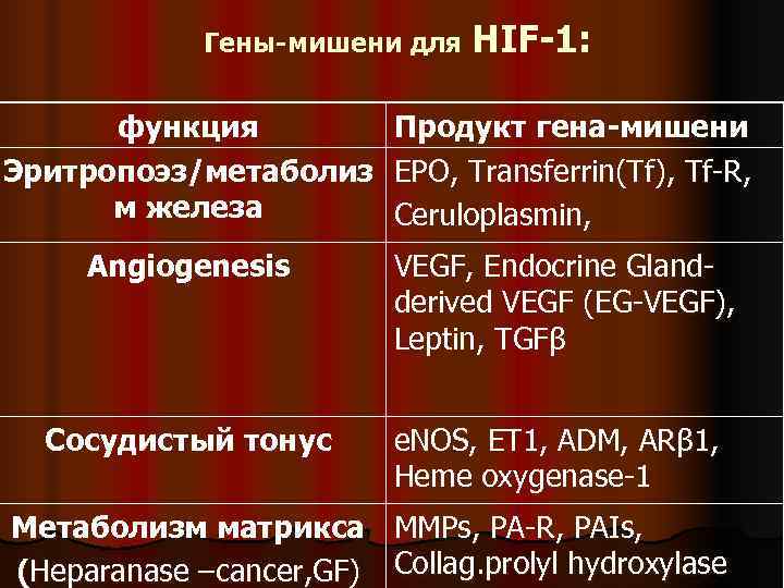    Гены-мишени для HIF-1:   функция   Продукт гена-мишени Эритропоэз/метаболиз