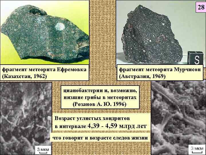       28 фрагмент метеорита Ефремовка  фрагмент метеорита Мурчисон