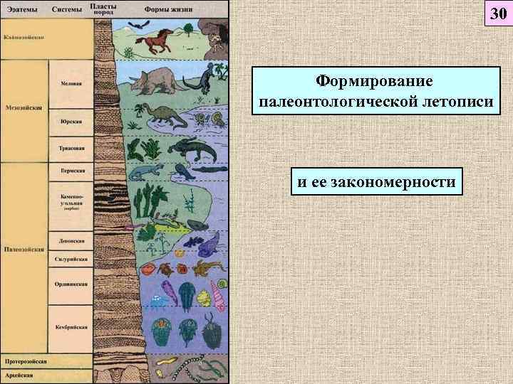 Эры география 8. Палеонтологическая летопись. Палеонтологическая периодизация. Палеонтологическая летопись схема. Летопись эволюции.