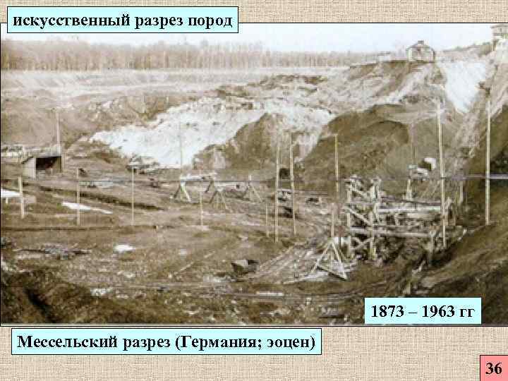 искусственный разрез пород    1873 – 1963 гг Мессельский разрез (Германия; эоцен)