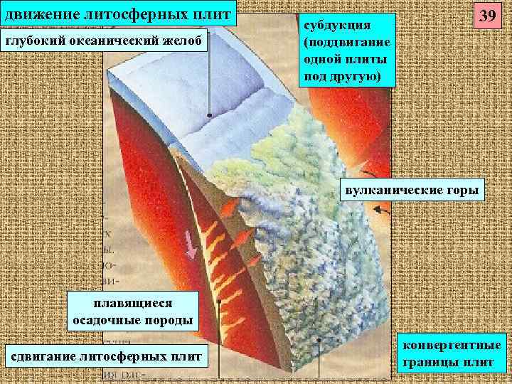 движение литосферных плит      39     