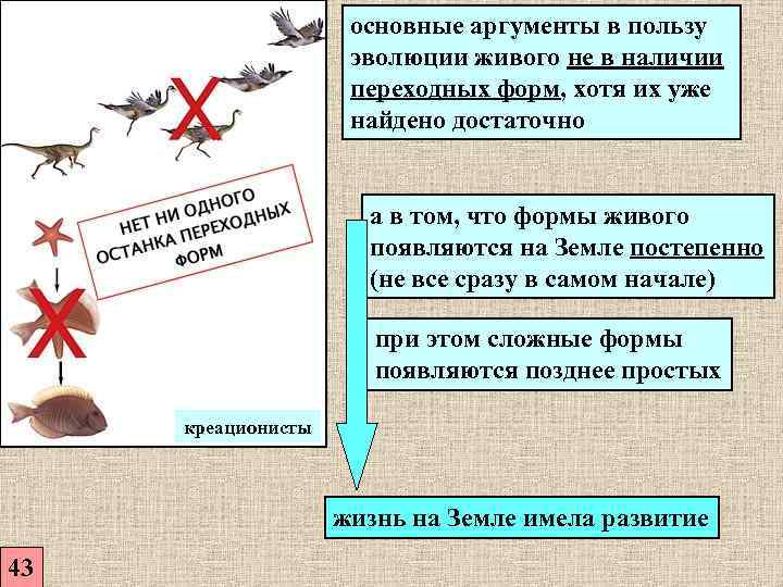      основные аргументы в пользу    эволюции живого